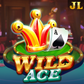 Wild Ace slot at Lucky Bingo